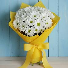 Букет цветов из:  Хризантемы в Богослово